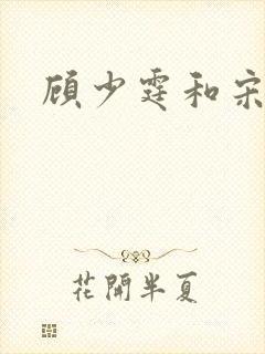 顾少霆和宋斯曼