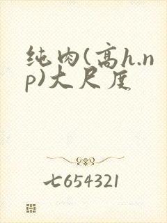 纯肉(高h.np)大尺度