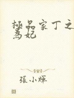 极品家丁之册母为妃