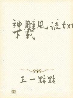 神雕风流txt下载