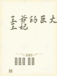 王爷的巨大进入王妃