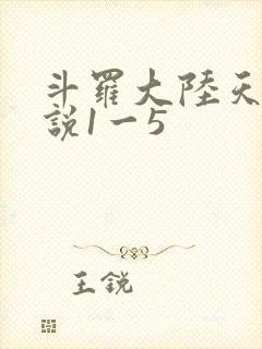 斗罗大陆天狂传说1一5