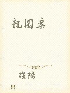 龙图案