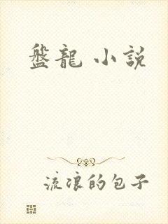 盘龙 小说