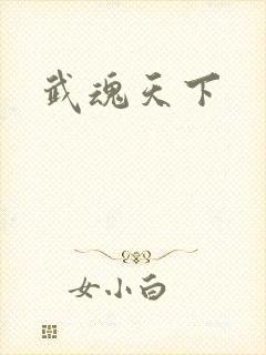 武魂天下