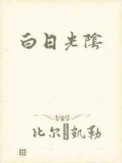 白日光阴