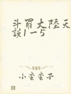 斗罗大陆天狂传说1一5