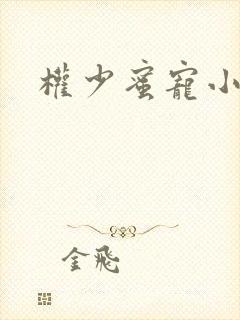 权少蜜宠小娇妻