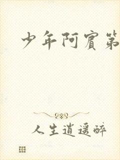 少年阿宾第二部