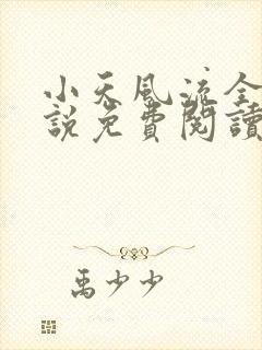 小天风流全集小说免费阅读