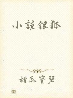 小说银狐