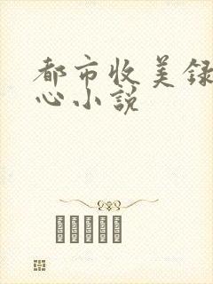 都市收美录宁素心小说