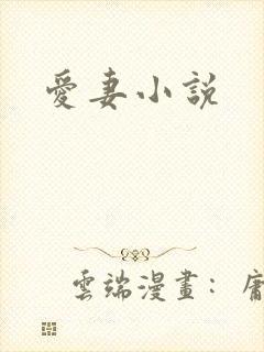 爱妻小说