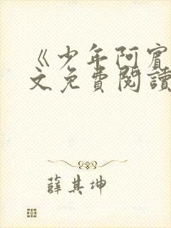 《少年阿宾》全文免费阅读