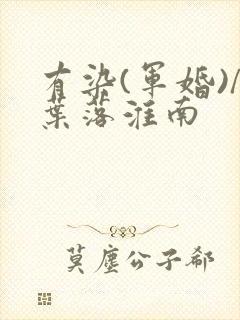 有染(军婚)/叶落淮南