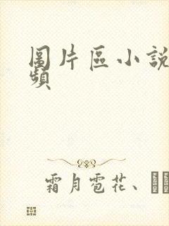 图片区小说区视频