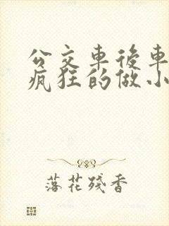 公交车后车座的疯狂的做小