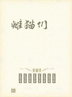 雌猫们