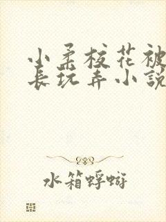 小柔校花被老校长玩弄小说