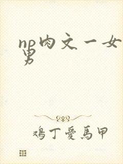 np肉文一女多男