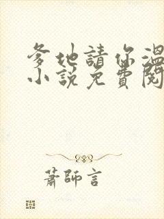 爹地请你温柔点小说免费阅读