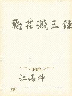飞花溅玉录