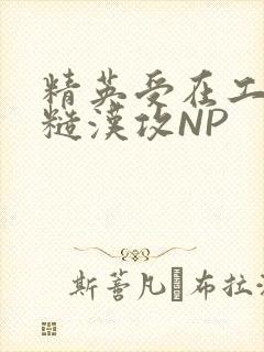 精英受在工地被糙汉攻NP