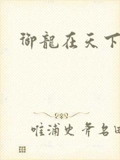 御龙在天下载