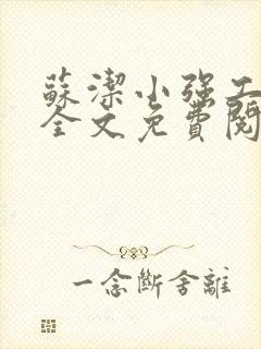 苏洁小强工地情全文免费阅读