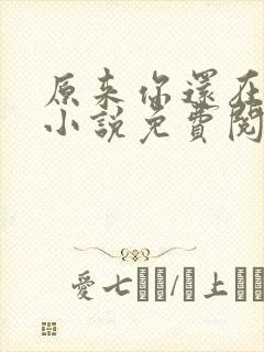 原来你还在这里小说免费阅读