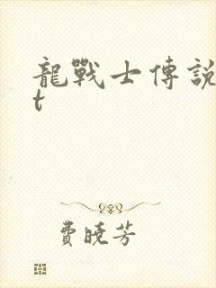 龙战士传说txt