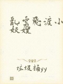 乱云飞渡小说之姣嫂