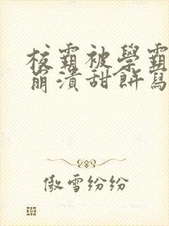 校霸被学霸玩到崩溃甜饼写手