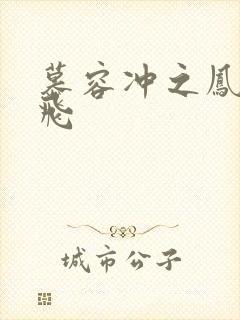 慕容冲之凤凰于飞