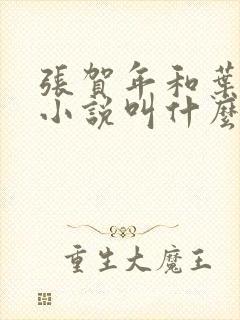 张贺年和叶繁姿小说叫什么名字