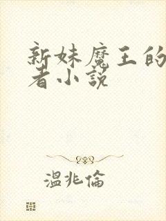 新妹魔王的契约者小说