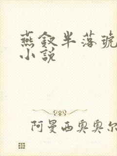 燕钗半落琥珀糖小说