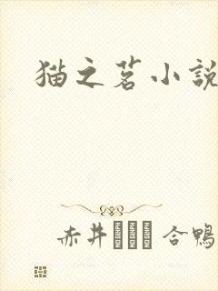猫之茗小说