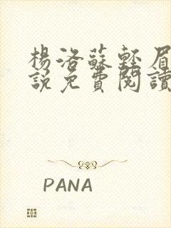 杨洛苏轻眉笔小说免费阅读