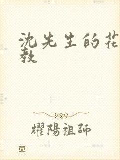 沈先生的花式调教