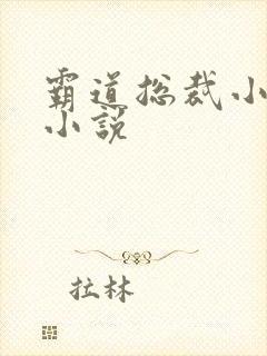 霸道总裁小娇妻小说