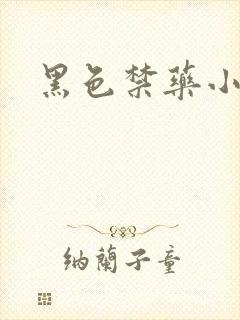 黑色禁药小说