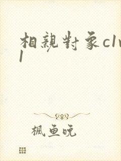 相亲对象c1v1