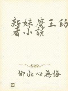 新妹魔王的契约者小说