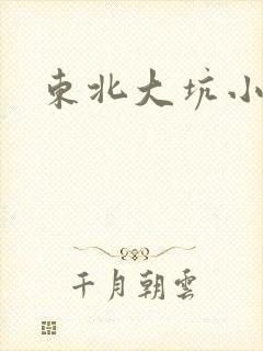 东北大坑小说