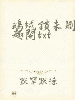 鹅绒锁未删除笔趣阁txt