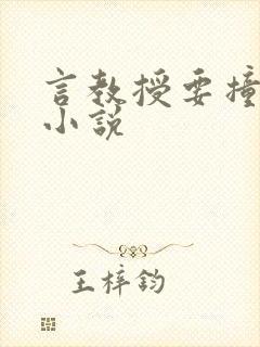 言教授要撞坏了小说