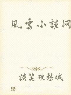 风云小说网