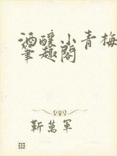 酒酿小青梅po笔趣阁