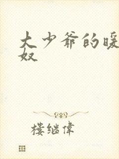 大少爷的暖床小奴